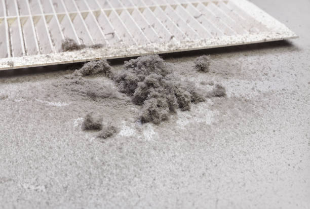 Best Best Air Duct Cleaning Company  in Forest Hills, MI