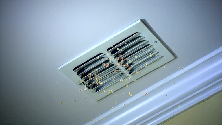 Best Air Duct Cleaning Near Me  in Forest Hills, MI