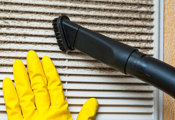 Best HVAC Air Duct Cleaning  in Forest Hills, MI